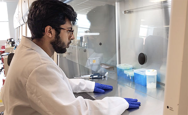  Faisal Masood at work  as a laboratory assistant for the BIOE 202 course. (Image courtesy of Faisal Masood.)